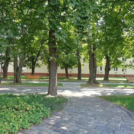 Venus Apartman Apartment